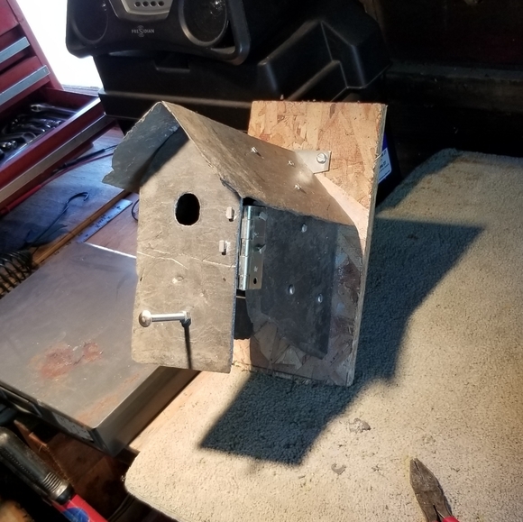 Meet your Posher, MrShark413 - Picture 6 of 10